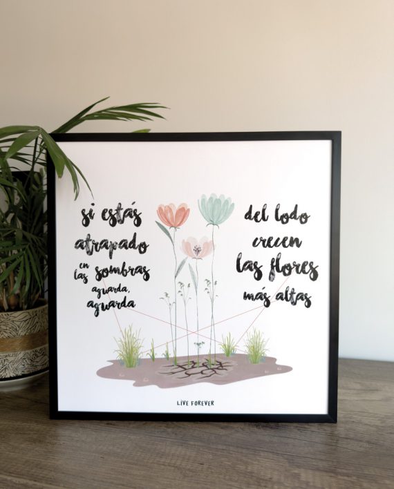 Lámina LODO – Live Forever ®