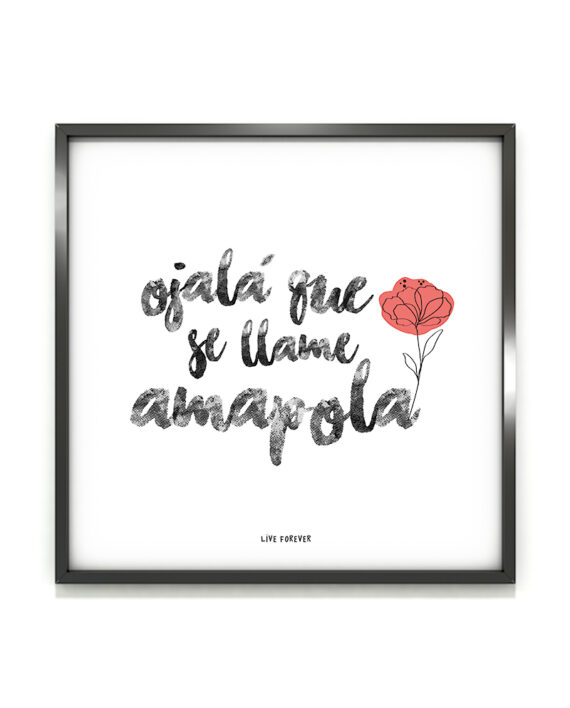 Lámina Amapola - Live Forever ®
