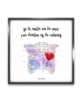 Lámina De Colores - Live Forever ®