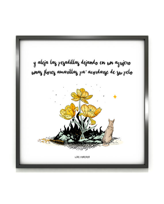 STANDBY - Lámina STANDBY - Live Forever ®